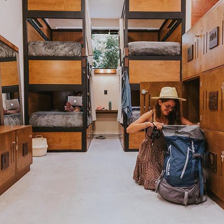 Hostal Barrio Vivo Мерида Экстерьер фото